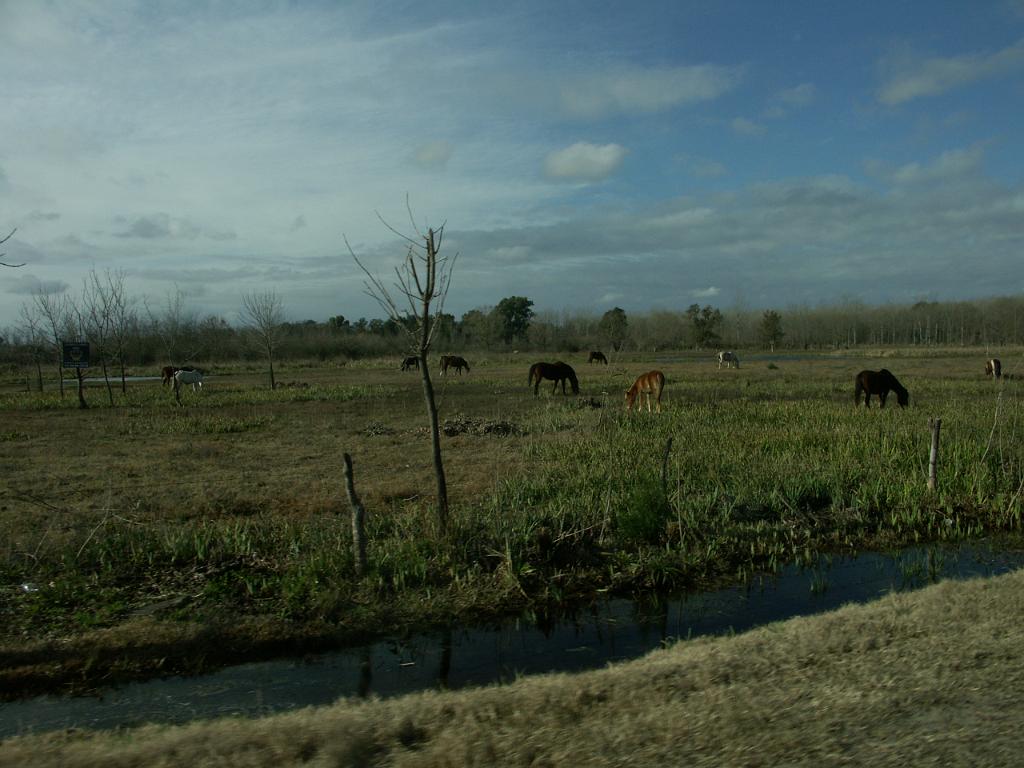 090801_Argentina 064.jpg